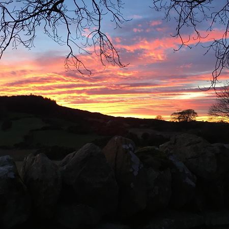 Slievemoyle Cottages Raholp Luaran gambar