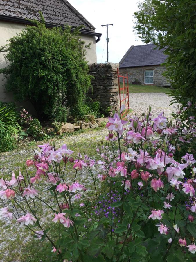 Slievemoyle Cottages Raholp Luaran gambar