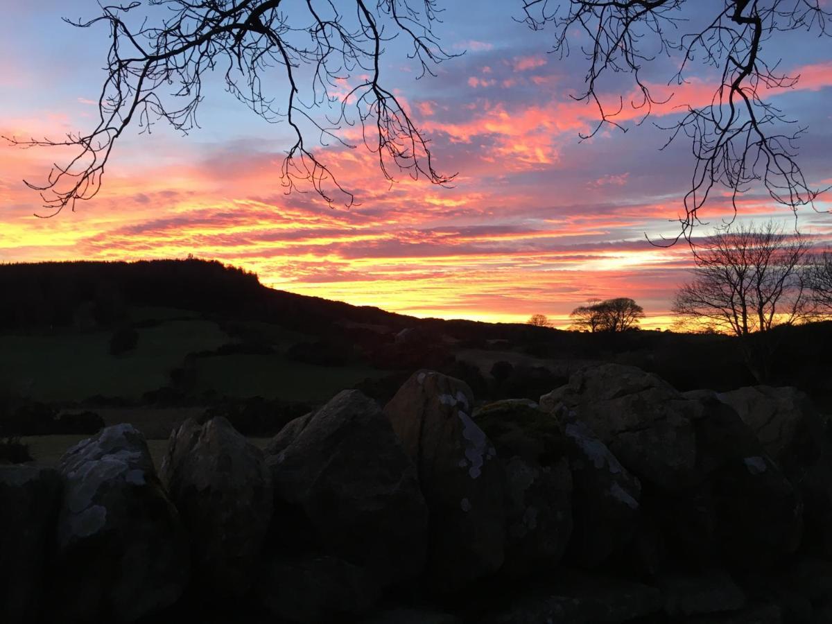 Slievemoyle Cottages Raholp Luaran gambar