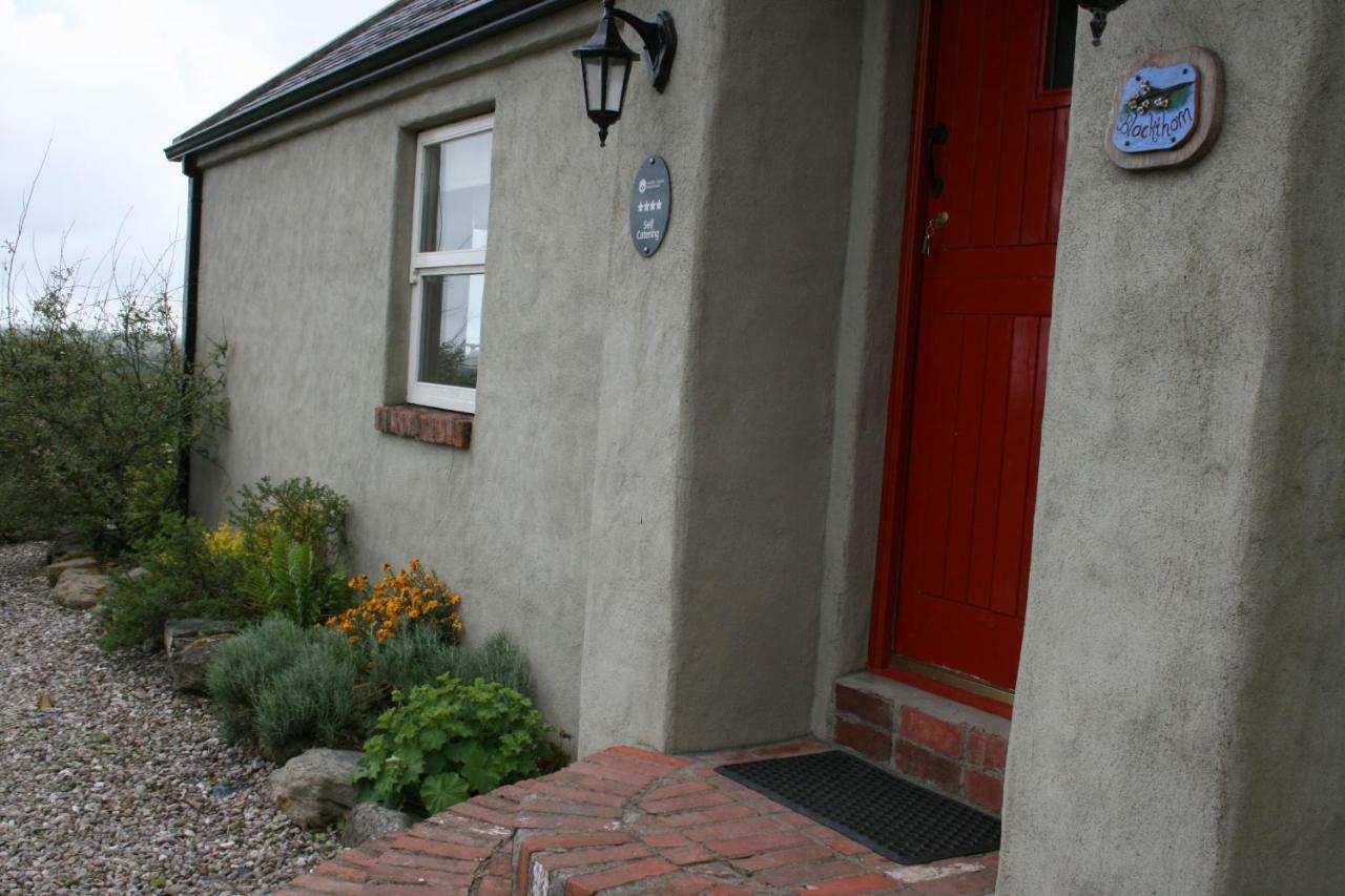 Slievemoyle Cottages Raholp Luaran gambar